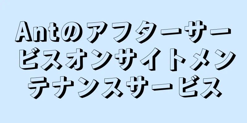 Antのアフターサービスオンサイトメンテナンスサービス
