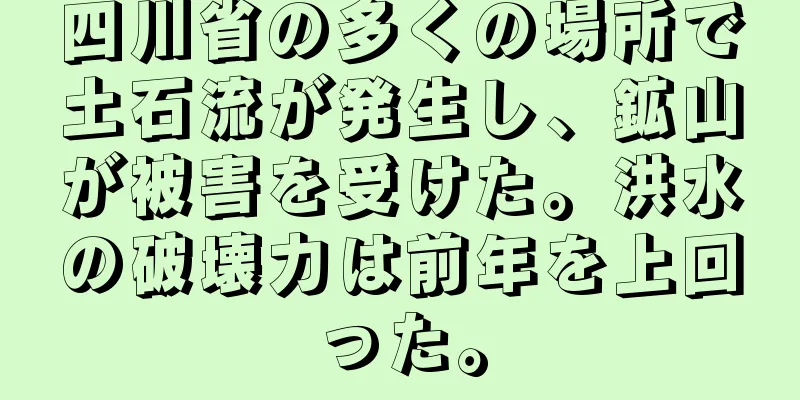 四川省の多くの場所で土石流が発生し、鉱山が被害を受けた。洪水の破壊力は前年を上回った。
