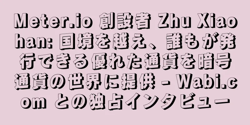 Meter.io 創設者 Zhu Xiaohan: 国境を越え、誰もが発行できる優れた通貨を暗号通貨の世界に提供 - Wabi.com との独占インタビュー