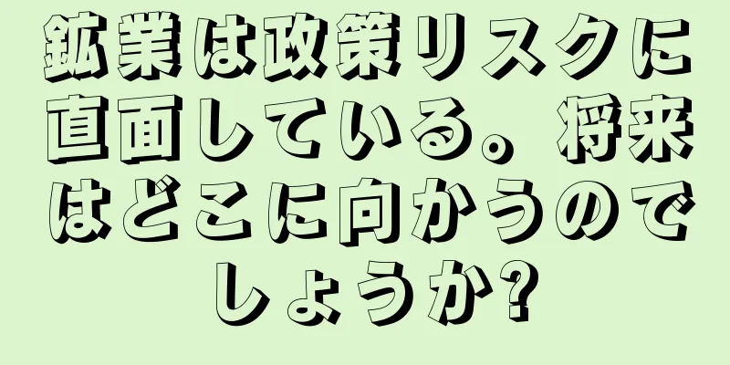 鉱業は政策リスクに直面している。将来はどこに向かうのでしょうか?