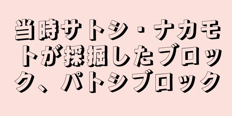 当時サトシ・ナカモトが採掘したブロック、パトシブロック