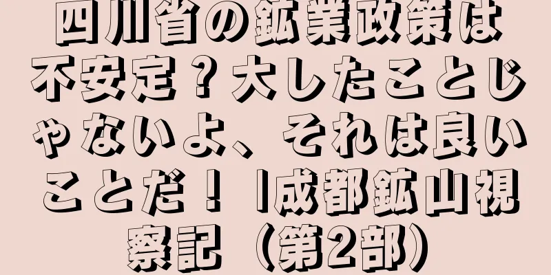 四川省の鉱業政策は不安定？大したことじゃないよ、それは良いことだ！ |成都鉱山視察記（第2部）