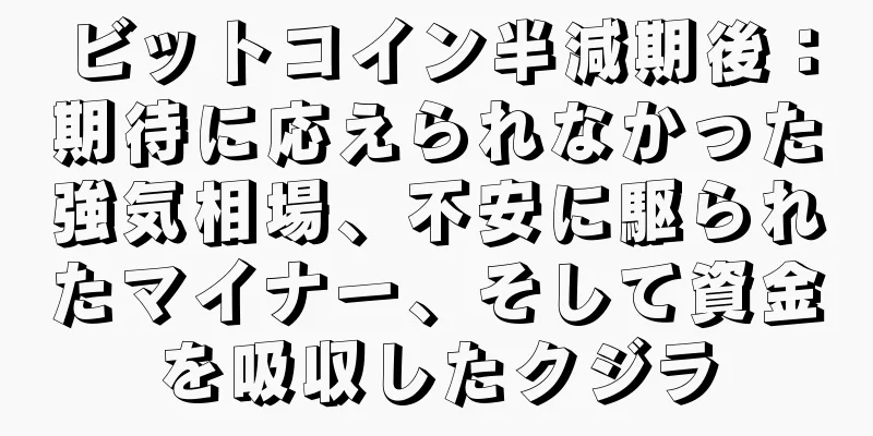 ビットコイン半減期後：期待に応えられなかった強気相場、不安に駆られたマイナー、そして資金を吸収したクジラ