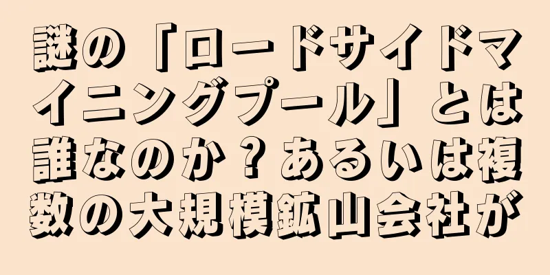 謎の「ロードサイドマイニングプール」とは誰なのか？あるいは複数の大規模鉱山会社が