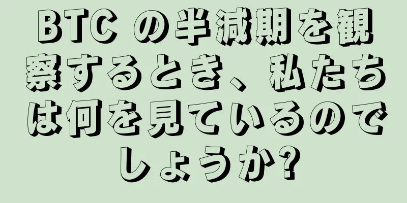 BTC の半減期を観察するとき、私たちは何を見ているのでしょうか?