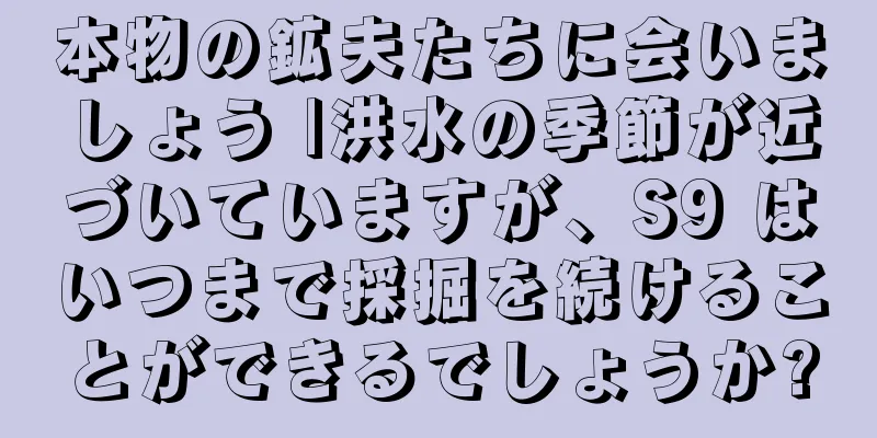 本物の鉱夫たちに会いましょう |洪水の季節が近づいていますが、S9 はいつまで採掘を続けることができるでしょうか?