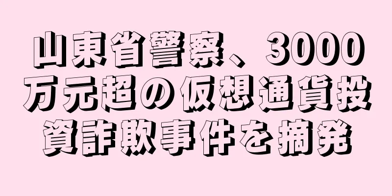 山東省警察、3000万元超の仮想通貨投資詐欺事件を摘発