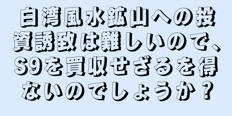 白湾風水鉱山への投資誘致は難しいので、S9を買収せざるを得ないのでしょうか？