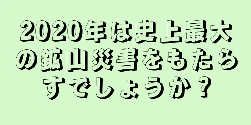 2020年は史上最大の鉱山災害をもたらすでしょうか？
