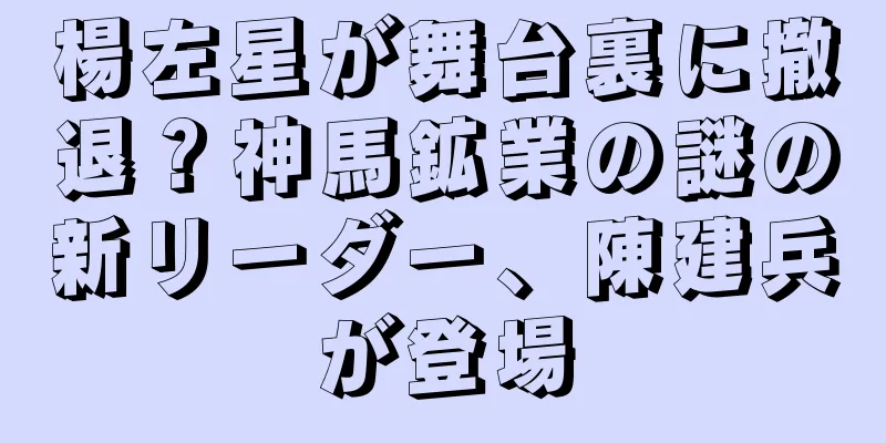 楊左星が舞台裏に撤退？神馬鉱業の謎の新リーダー、陳建兵が登場