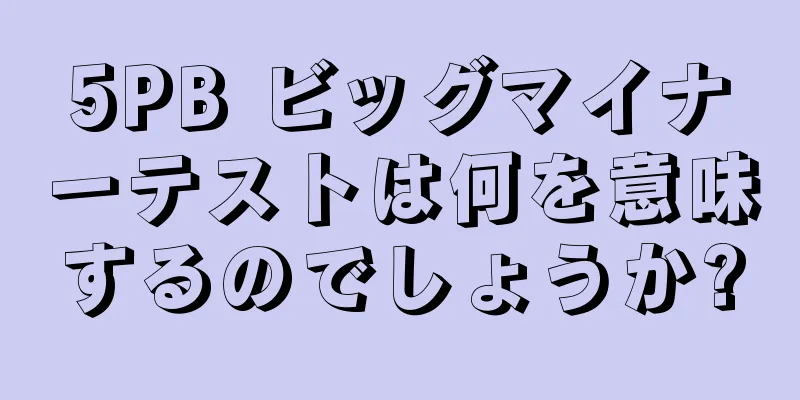 5PB ビッグマイナーテストは何を意味するのでしょうか?