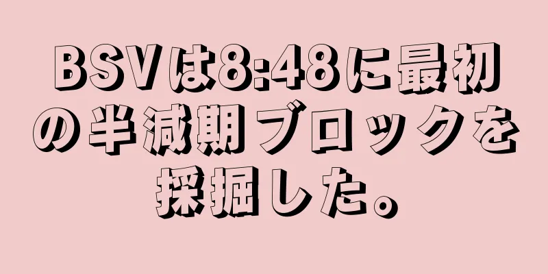 BSVは8:48に最初の半減期ブロックを採掘した。