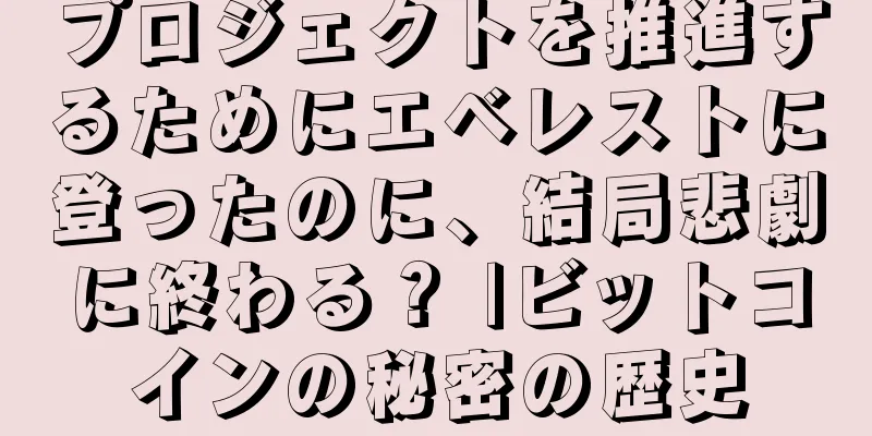 プロジェクトを推進するためにエベレストに登ったのに、結局悲劇に終わる？ |ビットコインの秘密の歴史