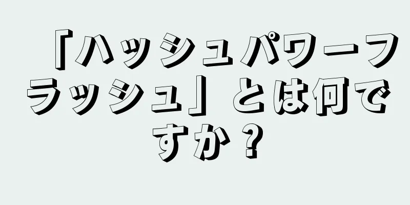 「ハッシュパワーフラッシュ」とは何ですか？