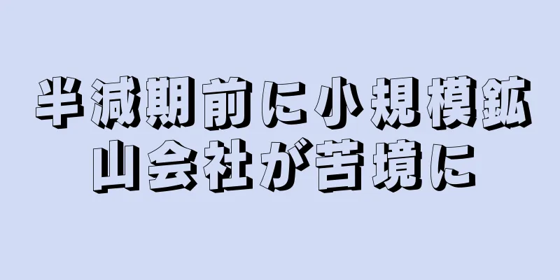 半減期前に小規模鉱山会社が苦境に