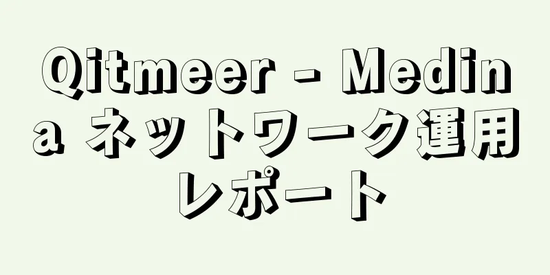 Qitmeer - Medina ネットワーク運用レポート