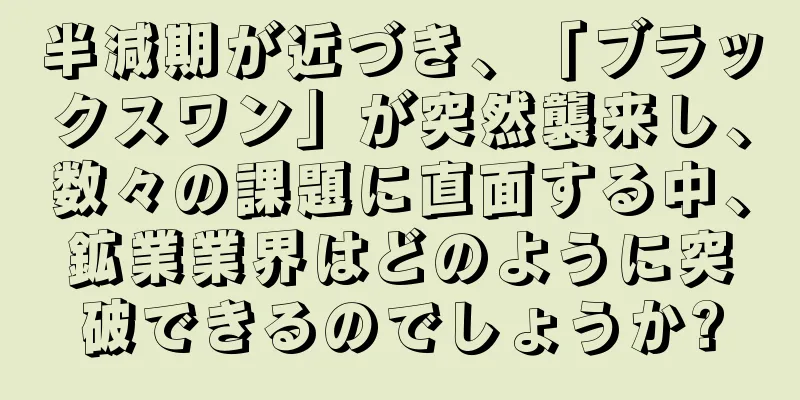 半減期が近づき、「ブラックスワン」が突然襲来し、数々の課題に直面する中、鉱業業界はどのように突破できるのでしょうか?