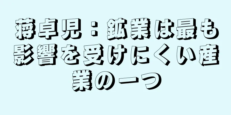 蒋卓児：鉱業は最も影響を受けにくい産業の一つ