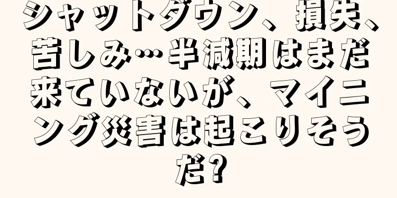 シャットダウン、損失、苦しみ…半減期はまだ来ていないが、マイニング災害は起こりそうだ?