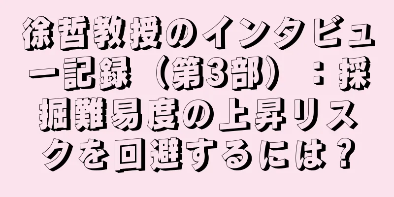 徐哲教授のインタビュー記録（第3部）：採掘難易度の上昇リスクを回避するには？
