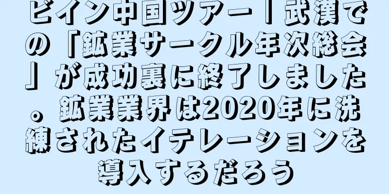 ビイン中国ツアー｜武漢での「鉱業サークル年次総会」が成功裏に終了しました。鉱業業界は2020年に洗練されたイテレーションを導入するだろう