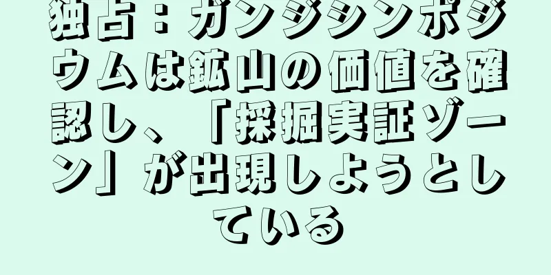 独占：ガンジシンポジウムは鉱山の価値を確認し、「採掘実証ゾーン」が出現しようとしている