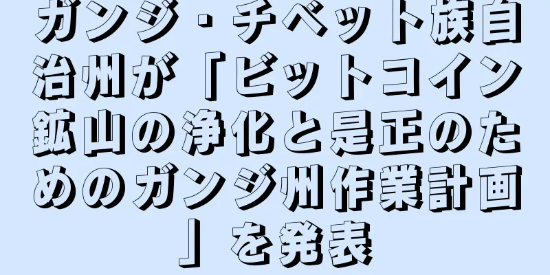 ガンジ・チベット族自治州が「ビットコイン鉱山の浄化と是正のためのガンジ州作業計画」を発表