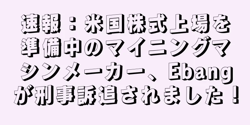 速報：米国株式上場を準備中のマイニングマシンメーカー、Ebangが刑事訴追されました！