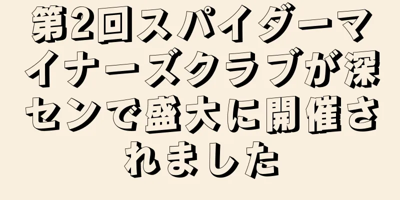 第2回スパイダーマイナーズクラブが深センで盛大に開催されました