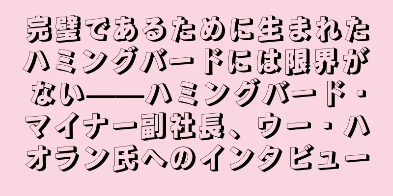 完璧であるために生まれたハミングバードには限界がない——ハミングバード・マイナー副社長、ウー・ハオラン氏へのインタビュー