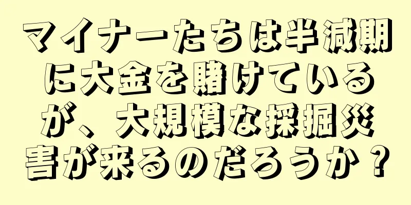 マイナーたちは半減期に大金を賭けているが、大規模な採掘災害が来るのだろうか？