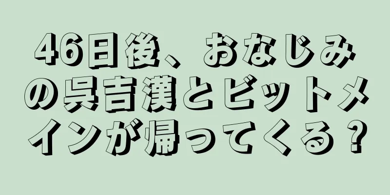 46日後、おなじみの呉吉漢とビットメインが帰ってくる？