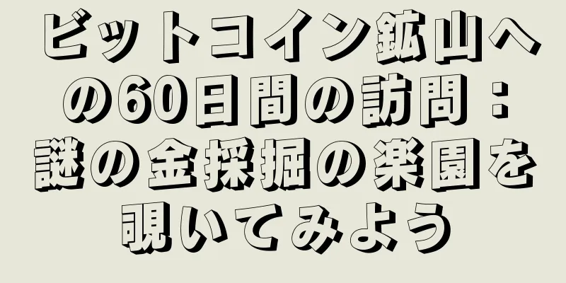 ビットコイン鉱山への60日間の訪問：謎の金採掘の楽園を覗いてみよう