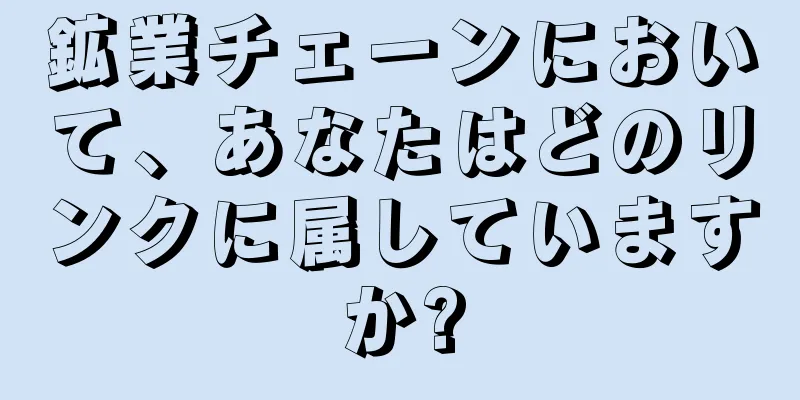 鉱業チェーンにおいて、あなたはどのリンクに属していますか?