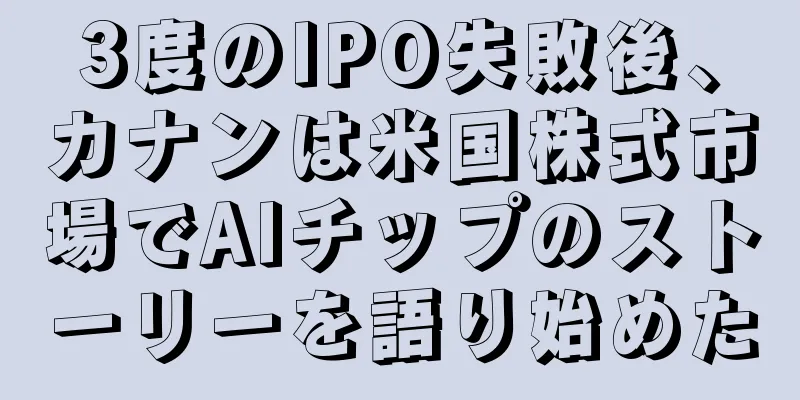 3度のIPO失敗後、カナンは米国株式市場でAIチップのストーリーを語り始めた
