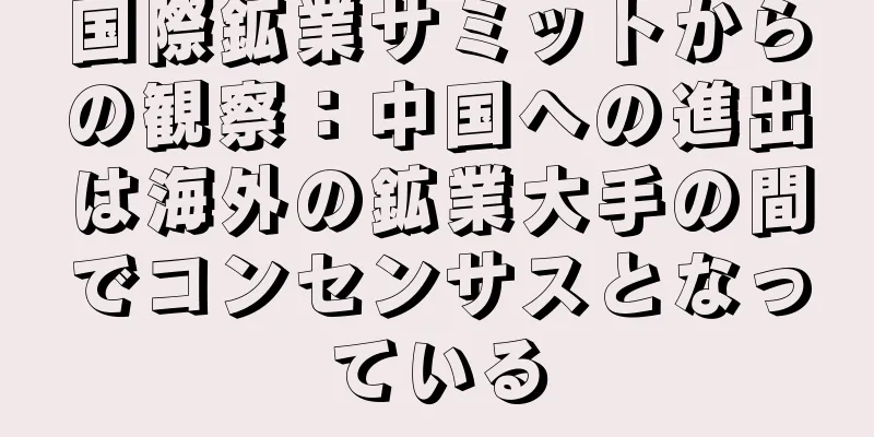 国際鉱業サミットからの観察：中国への進出は海外の鉱業大手の間でコンセンサスとなっている
