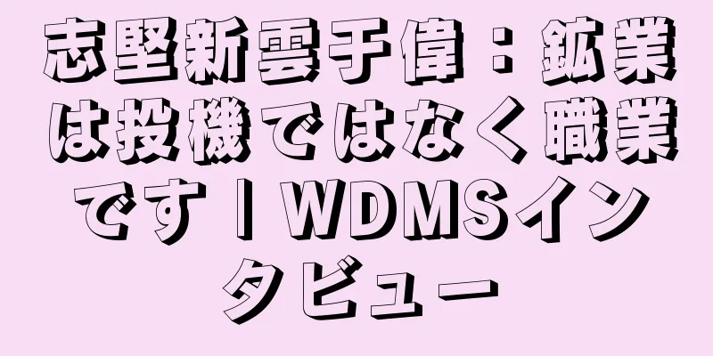 志堅新雲于偉：鉱業は投機ではなく職業です | WDMSインタビュー