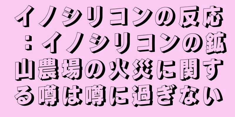 イノシリコンの反応：イノシリコンの鉱山農場の火災に関する噂は噂に過ぎない