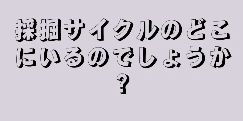採掘サイクルのどこにいるのでしょうか?