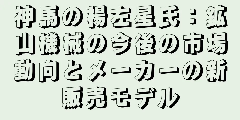 神馬の楊左星氏：鉱山機械の今後の市場動向とメーカーの新販売モデル
