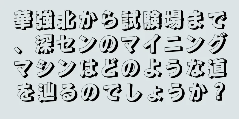 華強北から試験場まで、深センのマイニングマシンはどのような道を辿るのでしょうか？