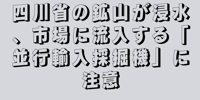 四川省の鉱山が浸水、市場に流入する「並行輸入採掘機」に注意