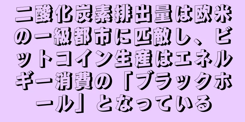 二酸化炭素排出量は欧米の一級都市に匹敵し、ビットコイン生産はエネルギー消費の「ブラックホール」となっている