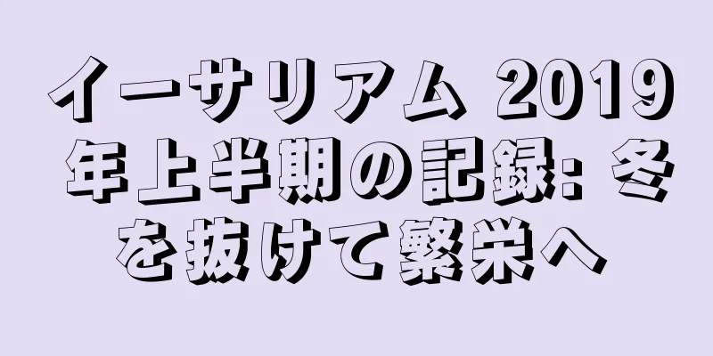 イーサリアム 2019 年上半期の記録: 冬を抜けて繁栄へ