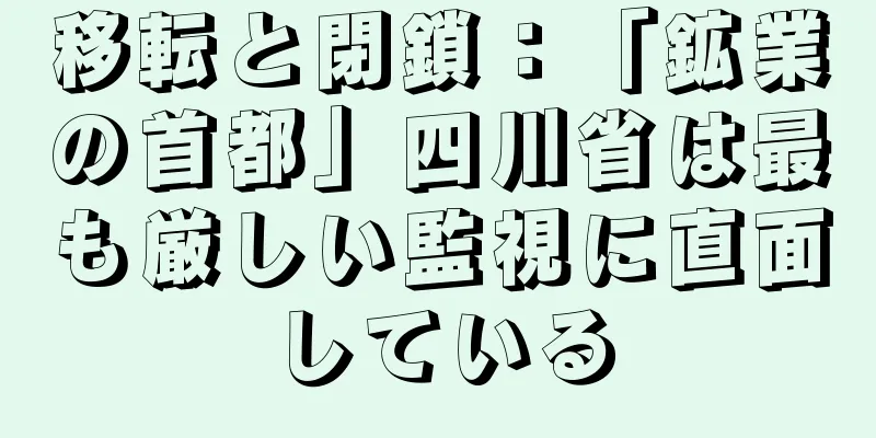 移転と閉鎖：「鉱業の首都」四川省は最も厳しい監視に直面している
