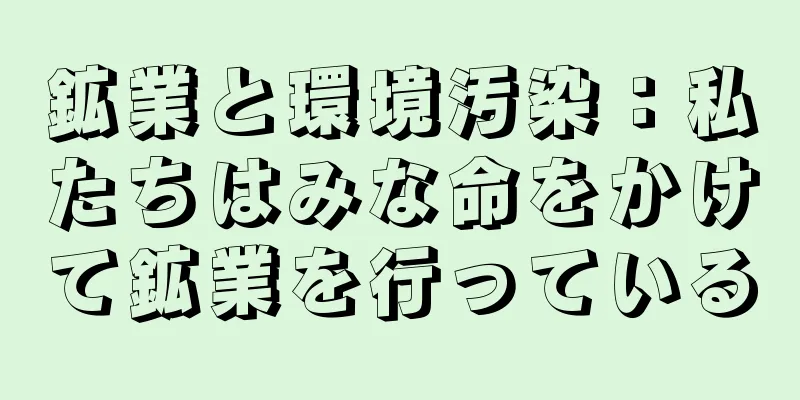 鉱業と環境汚染：私たちはみな命をかけて鉱業を行っている