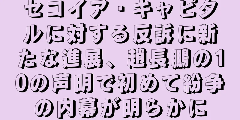 セコイア・キャピタルに対する反訴に新たな進展、趙長鵬の10の声明で初めて紛争の内幕が明らかに