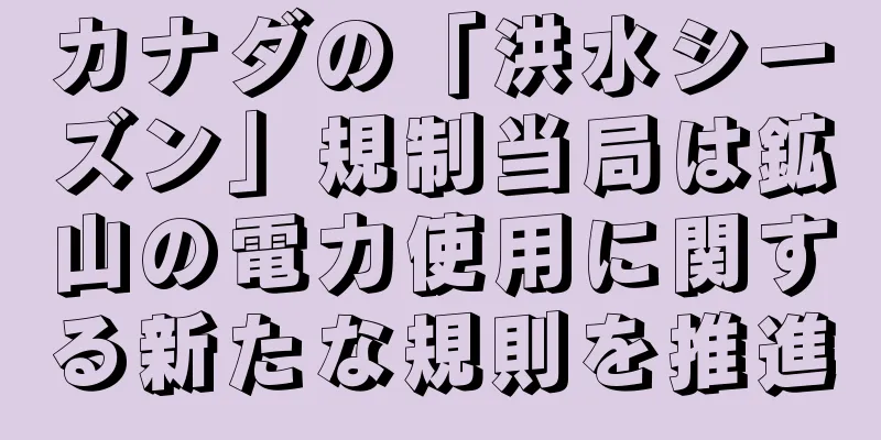 カナダの「洪水シーズン」規制当局は鉱山の電力使用に関する新たな規則を推進