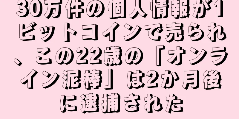 30万件の個人情報が1ビットコインで売られ、この22歳の「オンライン泥棒」は2か月後に逮捕された