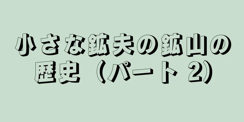 小さな鉱夫の鉱山の歴史（パート 2）